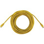 Tripp Lite series N261-100-YW Cat.6a UTP Network Cable - 100 ft (30.48 m) Category 6a Network Cable for Network Device, Switch, Patch (Fleet Network)
