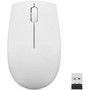 Lenovo 300 Wireless Compact Mouse (Cloud Grey) with Battery - Optical - Wireless - Radio Frequency - 2.40 GHz - Cloud Gray - USB Type (Fleet Network)