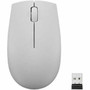 Lenovo 300 Wireless Compact Mouse (Arctic Grey) With Battery - Optical - Wireless - Radio Frequency - 2.40 GHz - Arctic Gray - USB A - (Fleet Network)