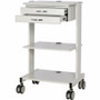Tripp Lite series Mobile Workstation with 2x Adjustable Shelves, 2x Metal Drawers, Locking Caster - 2 Shelf - 2 Drawer - 44.09 lb (20 (WWSS2DWSTAA)