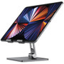 Alogic DTS-SGR Edge Adjustable Tablet Stand - Desktop - Space Gray Aluminum & ABS