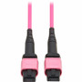 Tripp Lite series N845B-05M-12MTA Fiber Optic Network Cable - 16.4 ft (5 m) Fiber Optic Network Cable for Network Device, Patch Panel, (N845B-05M-12MTA)