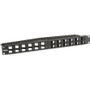 Black Box Multimedia Angled Port Patch Panel - 1U, 24-Port - 24 Port(s) - 1U High - 19" Wide - Rack-mountable - TAA Compliant (Fleet Network)