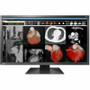 EIZO RadiForce MX317W-BK 31" Class 4K LED Monitor - 17:9 - Black - 30.5" Viewable - In-plane Switching (IPS) Technology - LED - 4096 x (Fleet Network)