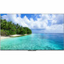 Neptune&trade; Shade NTSD65 64.5" Smart LED-LCD TV - 4K UHDTV - High Dynamic Range (HDR) - Black - Dolby Vision, HDR10, HDR10+, HLG - (Fleet Network)