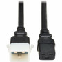 Tripp Lite by Eaton P036-E04 Power Extension Cord - 250V 20A 4ft Black with C19 Female to C20 Male Connectors