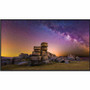 Sharp MultiSync PN-M502 Digital Signage Display - 49.50" (1257.30 mm) LCD - High Dynamic Range (HDR) - 3840 x 2160 - 16:9 - LED - 550 (Fleet Network)