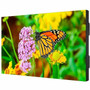 Sharp 55" Ultra-Narrow Bezel Professional-Grade Display - 55" (1397 mm) LCD - Super In-plane Switching (S-IPS) Technology - High Range (Fleet Network)