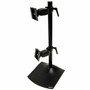 Ergotron DS100 Series Freestanding Dual Monitor Stand - Up to 21kg - Up to 24" Flat Panel Display - Black (Fleet Network)