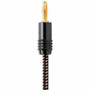 Monoprice Speaker Wire, Braided with Banana Plugs, 2-Conductor, 14AWG, 10ft, 2 Pack - 10 ft (3.05 m) Audio Cable for Speaker - First 1 (34309)