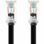 Monoprice Patch UTP Category 6a Network Cable - 10 ft (3.05 m) Category 6a Network Cable for Network Device, Server - First End: 1 x - (44651)