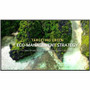 LG 50UL3Q-E Digital Signage Display - 50" (1270 mm) LCD - Vertical Alignment (VA) - 3840 x 2160 - 16:9 - Direct LED - 2160p (Fleet Network)