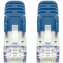 Intellinet Cat8.1 S/FTP Network Patch Cable, 14 ft., Blue - 14 ft (4.27 m) Category 8.1 Network Cable for Network Device - First End: (743013)