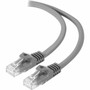 Alogic Cat6 Network Cable - 1 ft (0.30 m) Category 6 Network Cable for Network Device - First End: 1 x RJ-45 Network - Male - Second 1 (Fleet Network)