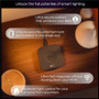 Philips Hue Bridge Pro - 3.60" (91.44 mm) Width x 1.06" (26.92 mm) Height x 3.60" (91.44 mm) Length - Black - Synthetic - 1 (582114)