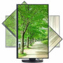 Sharp MultiSync 24" Class Full HD LED Monitor - 16:9 - Black - 23.8" Viewable - In-plane Switching (IPS) Technology - LED Backlight - (DD-EA241F)