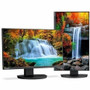 Sharp DD-EA242F MultiSync 24" FHD IPS LED Monitor - 23.8" Viewable - 75Hz - 250 cd/m² - Black - USB-C (65W) - VESA Mount