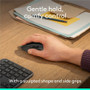 Logitech Signature Comfort M840 L Mouse - PC, Mac - Optical - Wireless - Bluetooth/Radio Frequency - 2.40 GHz - Black - USB - 4000 dpi (910-007714)