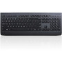 Lenovo Professional Wireless Keyboard - Wireless Connectivity - RF - English (US) (4X30H56841)