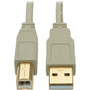 Tripp_Lite_USB_20_Hi-Speed_AB_Cable_MM_Beige_6_ft_-_6_ft_USB_Data_Transfer_Cable_for_Scanner_Notebook_Printer_-_First_End_1_U022-006-BE