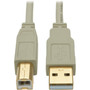Tripp_Lite_USB_20_Hi-Speed_AB_Cable_MM_Beige_6_ft_-_6_ft_USB_Data_Transfer_Cable_for_Scanner_Notebook_Printer_-_First_End_1_U022-006-BE