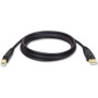 Tripp Lite USB Gold Cable - 15 ft USB Data Transfer Cable - First End: 1 x Type A Male - Second End: 1 x Type B Male USB - Gold - 1 (Fleet Network)