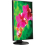 NEC Display MultiSync E221N-BK 22" Full HD LED LCD Monitor - 16:9 - 1920 x 1080 - 16.7 Million Colors - 250 cd/m&#178; - 6 ms - DVI - (E221N-BK)