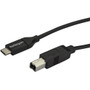 StarTech.com 2m 6 ft USB C to USB B Cable - M/M - USB 2.0 - USB Type C Printer Cable - USB 2.0 Type-C to Type-B Cable - 6.6 ft USB for (Fleet Network)