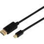 Axiom Mini DisplayPort to DisplayPort Adapter Cable 10ft - 10 ft DisplayPort/Mini DisplayPort A/V Cable for Monitor, Computer, Device (Fleet Network)