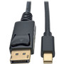 Tripp Lite P583-006-BK DisplayPort/Mini-DisplayPort Audio/Video Cable - 6 ft DisplayPort/Mini DisplayPort A/V Cable for Audio/Video - (Fleet Network)