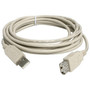StarTechcom 10ft USB 20 Extension Cable A to A - MF - USB - 10 ft - 1 x Type A Male - 1 x Type A Female - Gray USBEXTAA10