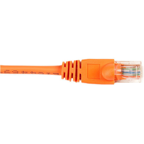 Black Box CAT6 Value Line Patch Cable, Stranded, Orange, 7-ft. (2.1-m) - 7 ft Category 6 Network Cable for Network Device - First End: (CAT6PC-007-OR)