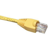 Black Box GigaTrue Cat 6 Channel UTP Patch Cable - 1 ft Category 6 Network Cable - First End 1 x RJ-45 Male - Second End 1 x RJ-45 EVNSL644-0001