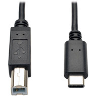 Tripp Lite by Eaton USB Type-B Male to USB-C Hi-speed Cable - 6 ft USB Data Transfer Cable - First End 1 x USB 20 Type B - Male - 1 U040-006