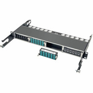 Tripp Lite 10GbE High Density Pass-Through Cassette 12 LC Duplex Connection - 24 x LC Duplex - 24 Ports - 24 x RJ-11 - 24 x Duplex - N484-12LC