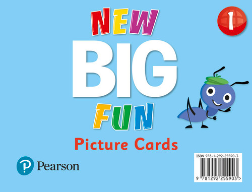 New Big Fun - Picture Cards - Level 1