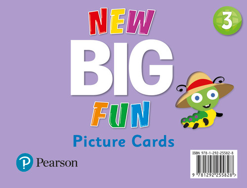 New Big Fun - Picture Cards - Level 3