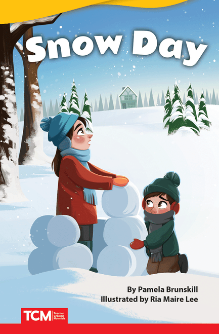 Fiction Readers 4: Snow Day