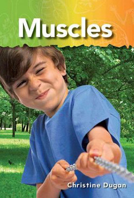 Muscles