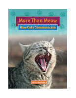 LLI Red Little Book (6 pack): More Than Meow