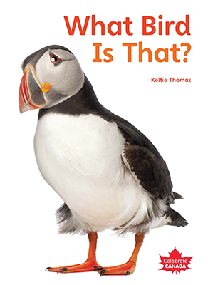 Celebrate Canada: What Bird Is That?
