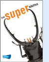 Les superbibittes (Big Book)