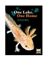 LLI Red Little Book (6 pack): One Lake, One Home