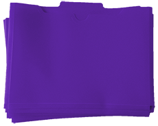 Purple Lesson Folders (10-Pack)