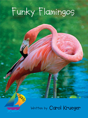Funky Flamingos