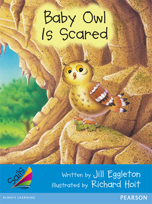Baby Owl is Scared