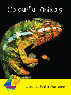 Colorful Animals