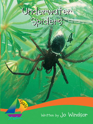 Underwater Spiders