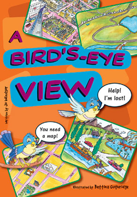A Birds Eye View