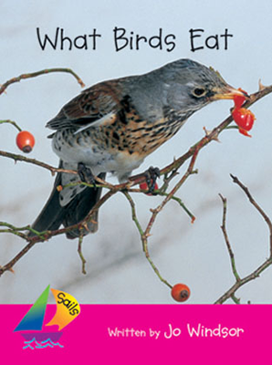What Birds Eat